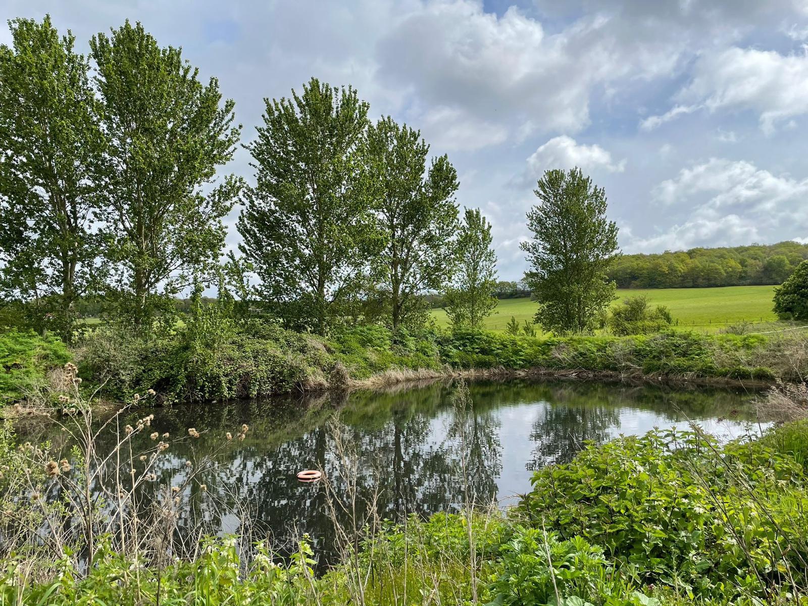 Farm Scenery for Filming